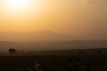 Golden silence - Kidepo Valley at sunset by Rick Massar