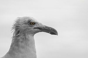 Mehr als das Auge sieht
