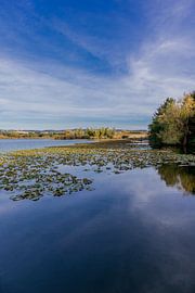 Ein Tag am See im Werratal