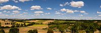 landscape overlooking church and water tower
