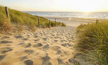 La vie à la plage ! sur Dirk van Egmond