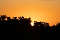 Lever de soleil, Parc Kruger
