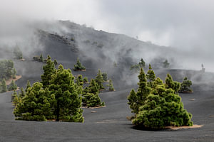 Landschaft am Vulkan Tajogaite