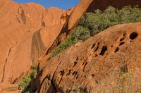 Uluru