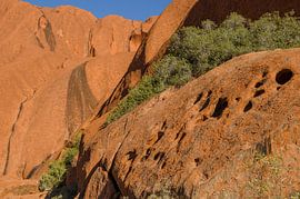 Uluru by Pieter van der Zweep