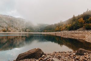 Foggy Lake