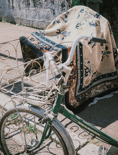 Das grüne Fahrrad von Hazel Pasman