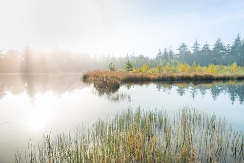 Natuurfoto van een mistige ochtend bij een oude vijver in Drenthe.