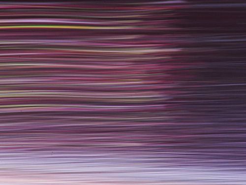 Une tempête de fleurs