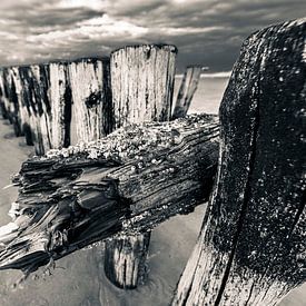 Brise-lames sur Stephan Zaun