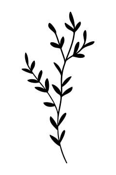 Botanische basis. Zwart-wit tekening van eenvoudige bladeren nr. 1 van Dina Dankers