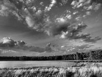 Landschap
