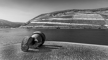 Sculptuur aan de oever van de Rijn - uitzicht op de wijngaarden van Bingen