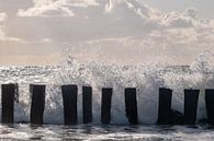 Opspattend water aan zee / Zeeland van Photography art by Sacha thumbnail