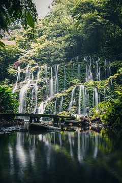 Bezaubernder Wasserfall im Dschungel von Bali, Indonesien von Troy Wegman