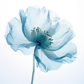 Blue flower by Bert Nijholt