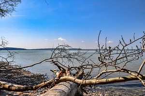 Naturstrand an der Lagune am Großen Jasmunder Bodden bei Lietzow