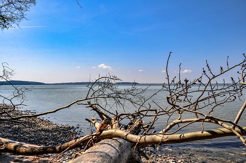 Natuurlijk strand aan de lagune bij de Great Jasmund Bodden bij Lietzow