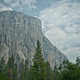 Yosemite-Nationalpark von Arjen van de Belt