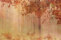 Abstract bos