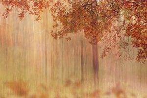 Abstrakter Wald