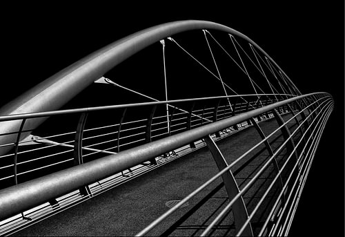 Architecture of Movement