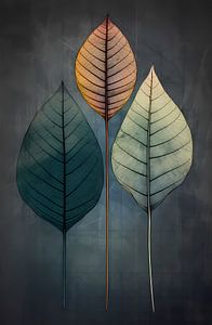 Image abstraite de trois feuilles