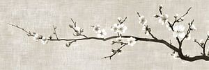 Blumenbild Beige | Silent Harmony