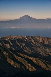 CANARIAS sur Marvin Schweer