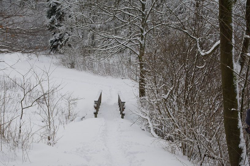 sneeuw par Diana Edwards