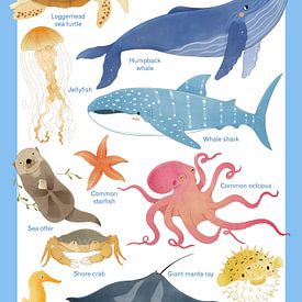 Les animaux des océans sur Judith Loske