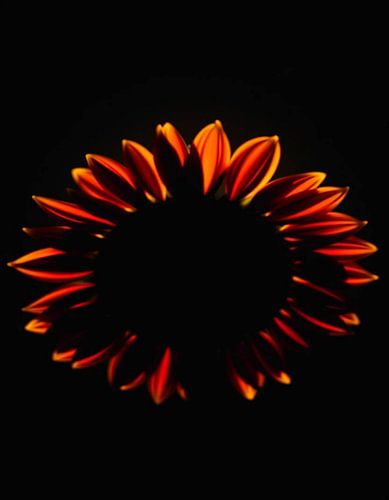 Ember Sun X