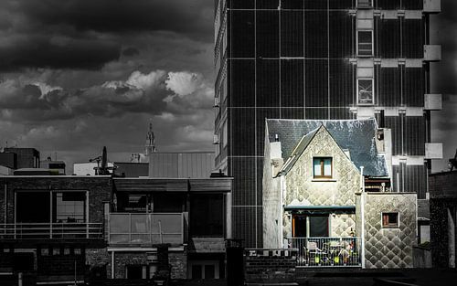 Small house in a big world