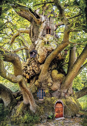 With elfin eyes #58 by Lars van de Goor