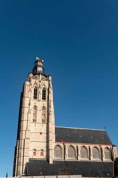 Collegiate Church of Saint Walburga by Richard Wareham