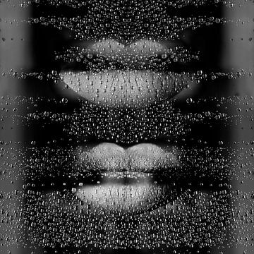 Soft Silver Lips. van Alie Ekkelenkamp