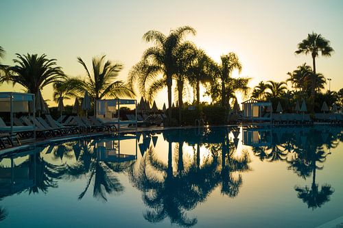 Palmbomen die weerspiegelen in een zwembad bij zonsondergang op Tenerife