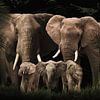 Elefantenfamilie mit drei Kälbern (auch mit mehr oder weniger Kälbern) von Bert Hooijer