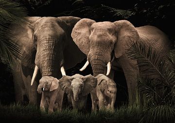 Famille d'éléphants avec trois éléphanteaux (ou avec plus ou moins d'éléphanteaux).