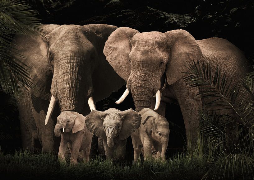Famille d'éléphants avec trois éléphanteaux (ou avec plus ou moins d'éléphanteaux). par Bert Hooijer