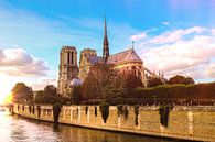 Paris Notre Dame von Mark Zanderink Miniaturansicht