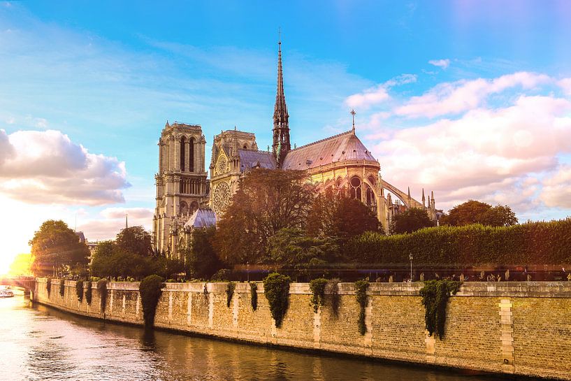 Parijs Notre Dame van Mark Zanderink