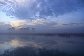 Blue sunrise at park Lingezegen Arnhem Elst by Bobsphotography