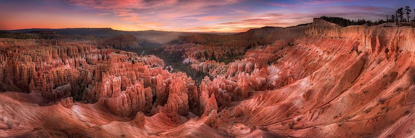 Bryce Canyon National Park / USA bij zonsopgang. van Voss fotografie