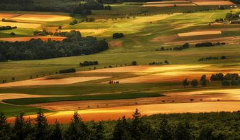 Landscape, fields and meadows with tractor