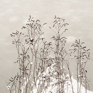 Vereint. Wabi-Sabi.