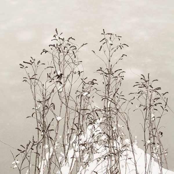 Vereint. Wabi-Sabi. von Lena Weisbek