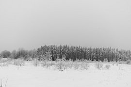 Winter landscape – High Fens, Belgium by Britta Lahaye