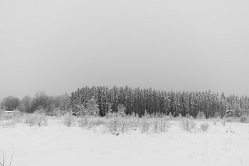 Winter landscape – High Fens, Belgium