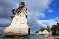 Hoho rock sur la plage de Cathedral Cove en Nouvelle-Zélande par Aagje de Jong Aperçu